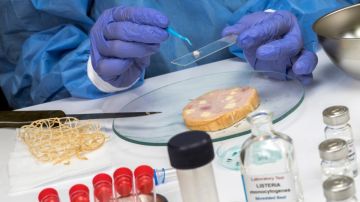 Aumentan a cinco las muertes por un brote de listeria relacionado con embutidos de Boar's Head