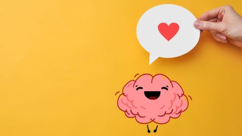 Dónde se "siente" el amor en el cerebro: estudio