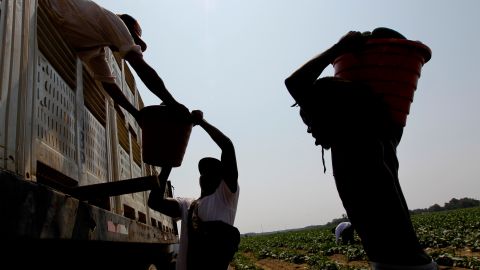 Juez bloquea plan de regularización de inmigrantes impulsado por Biden
