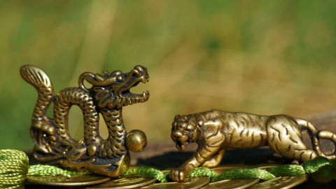 El Dragón y el Tigre son para la astrología china, de los signos más poderosos.